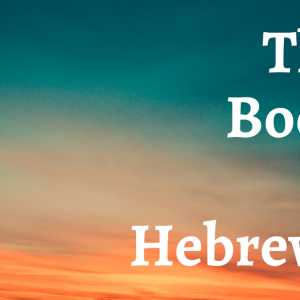Hebrews 10:32-39