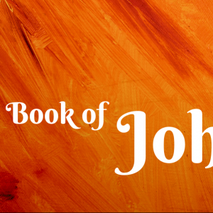 John 6:30-51