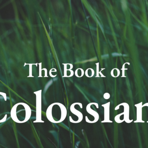 Colossians 1:3-8